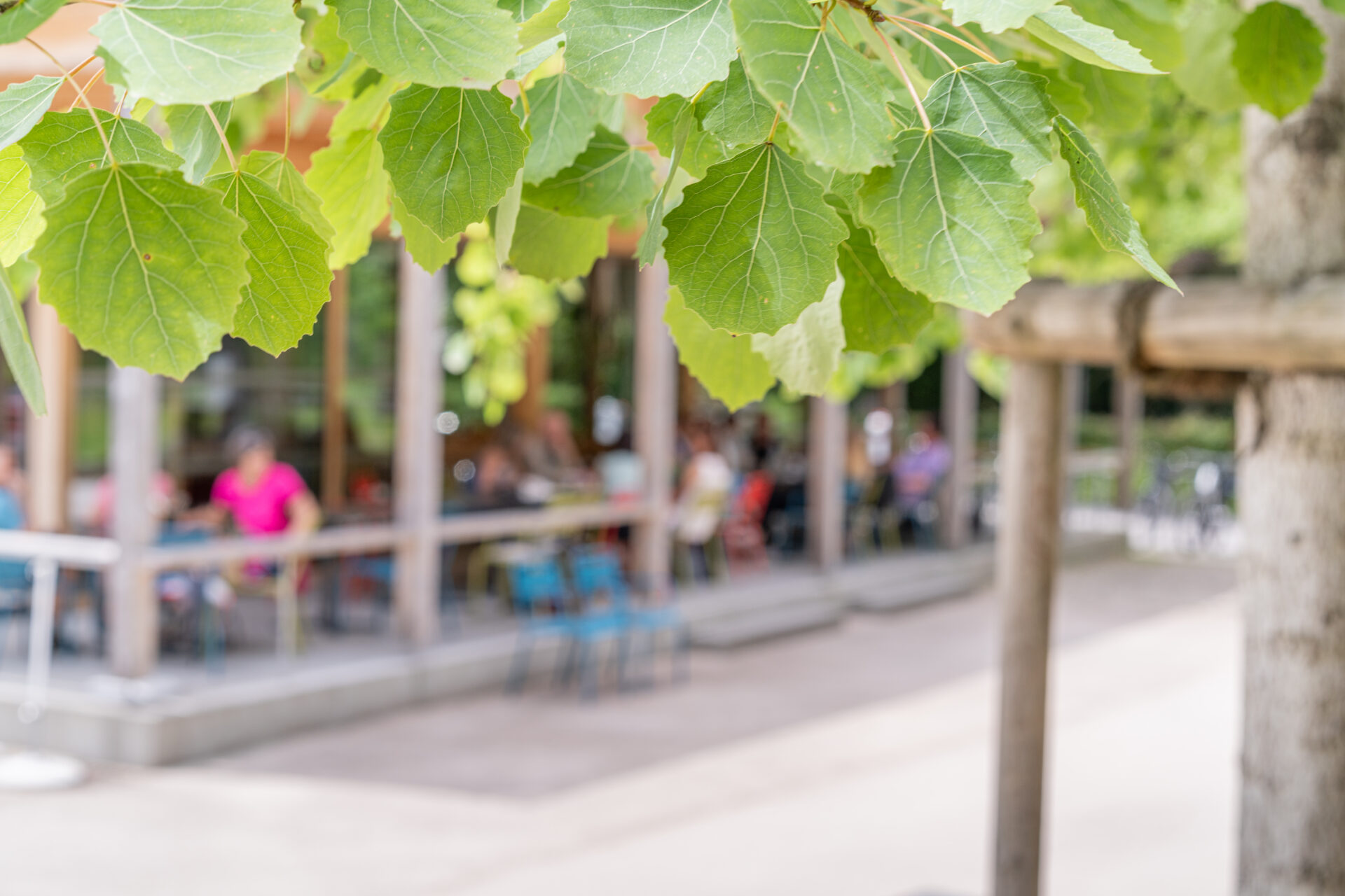 Restaurant Frischluft am Camping Dornbirn, Terrasse, Sonne, Bunte Stühle, Personen